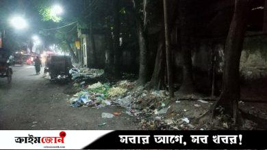 বরিশালে জেলখানার মোড় ও নাজীর পোলের মাঝে দুর্গন্ধ, ময়লা ফেলার কারণে ভোগান্তি